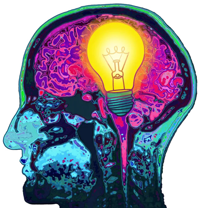 MRI Brain with branded search traffic